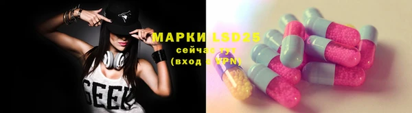стаф Киренск