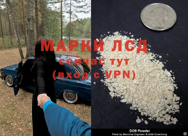стаф Киренск