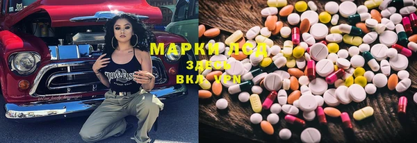стаф Киренск